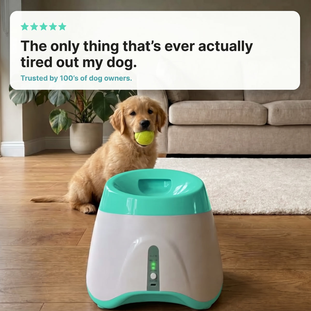Doggo™ Ball Launcher