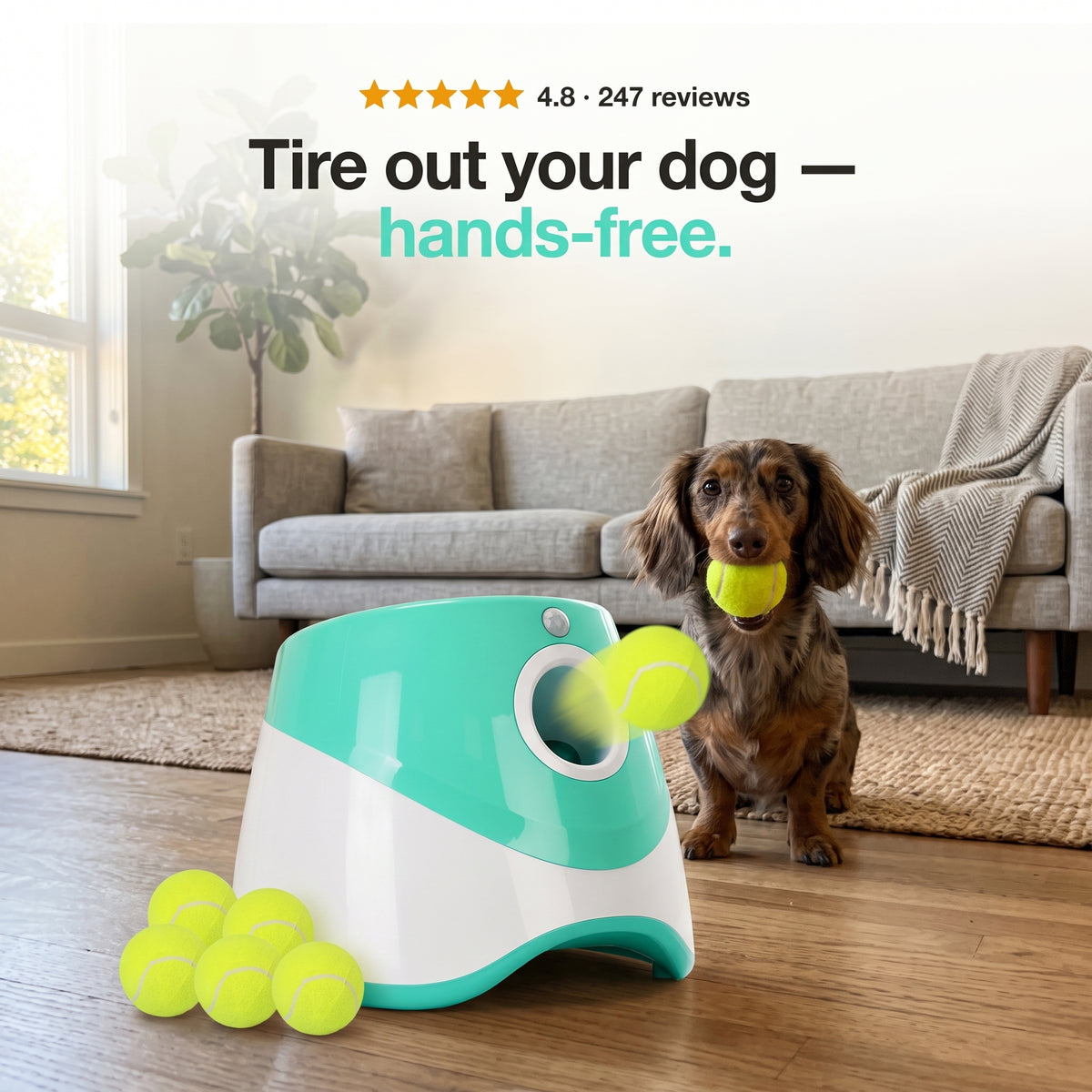 Doggo™ Ball Launcher